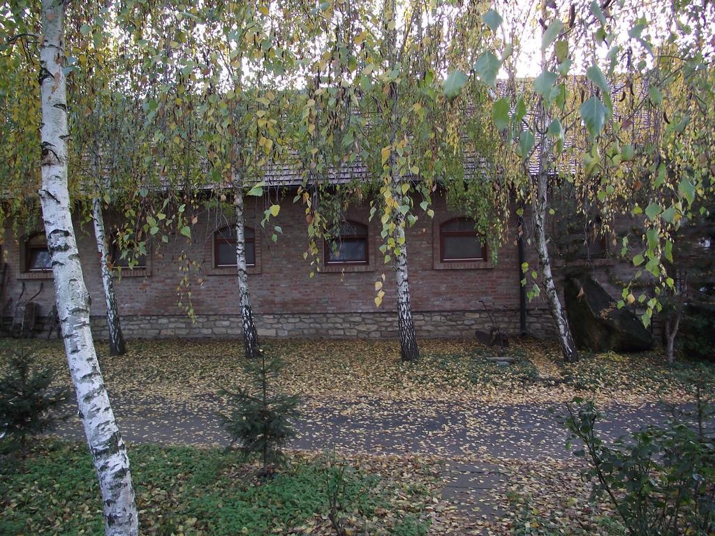 Szalma Vendeghaz Hotel Mogyorosbanya Bagian luar foto