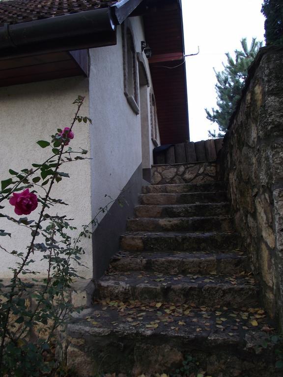 Szalma Vendeghaz Hotel Mogyorosbanya Bagian luar foto