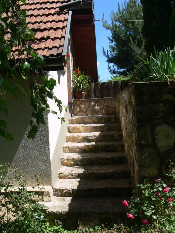 Szalma Vendeghaz Hotel Mogyorosbanya Bagian luar foto