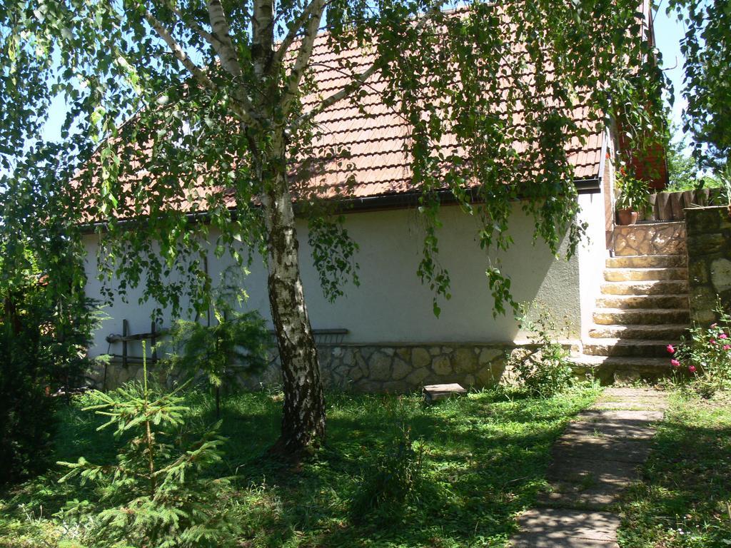 Szalma Vendeghaz Hotel Mogyorosbanya Bagian luar foto