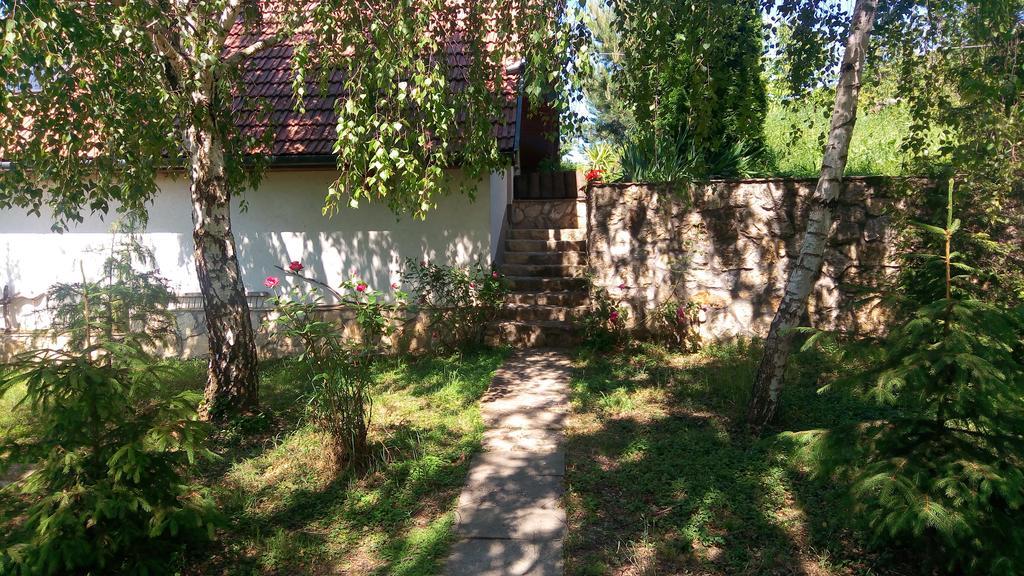Szalma Vendeghaz Hotel Mogyorosbanya Bagian luar foto