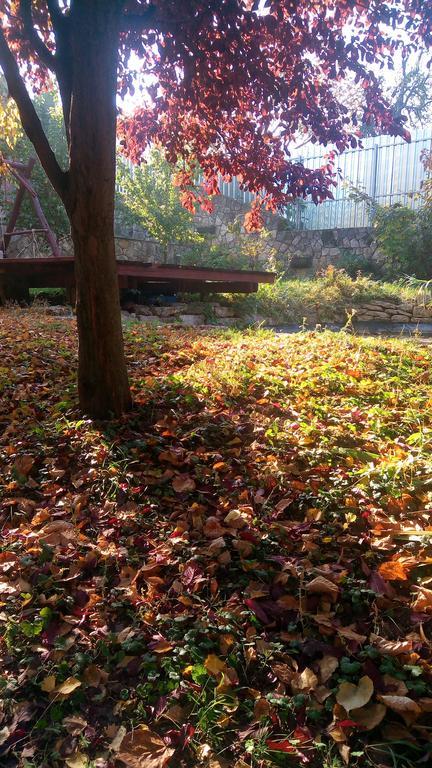 Szalma Vendeghaz Hotel Mogyorosbanya Bagian luar foto