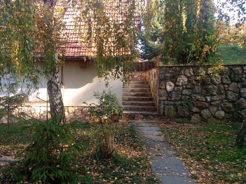 Szalma Vendeghaz Hotel Mogyorosbanya Bagian luar foto