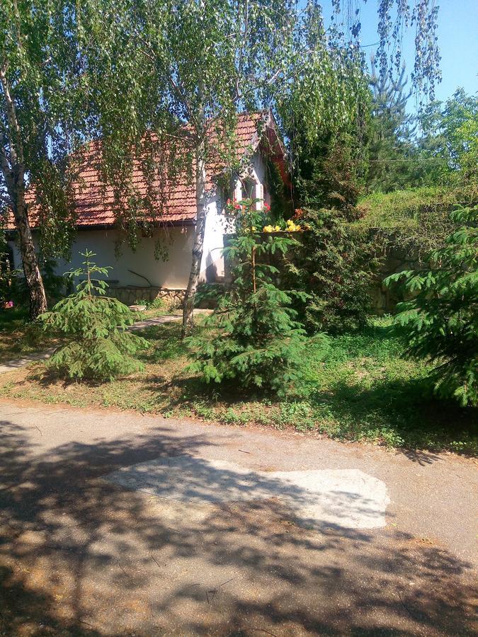Szalma Vendeghaz Hotel Mogyorosbanya Bagian luar foto