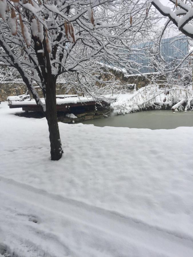 Szalma Vendeghaz Hotel Mogyorosbanya Bagian luar foto