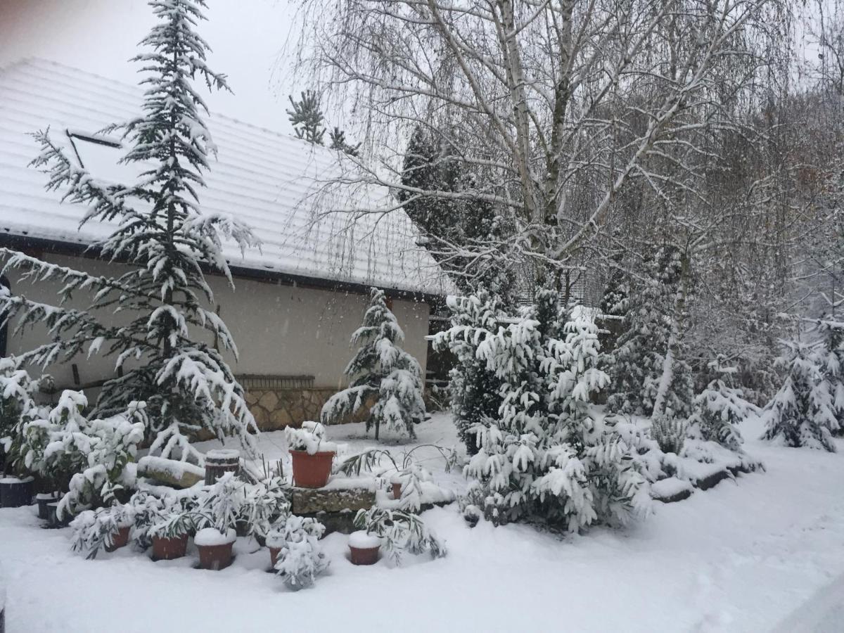 Szalma Vendeghaz Hotel Mogyorosbanya Bagian luar foto